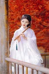 小说 叶轩魏忠贤全文完整版 (斩尽奸臣后,大明盛世三百年)免费阅读 小说 叶轩魏忠贤全文完整版 (斩尽奸臣后,大明盛世三百年)免费阅读