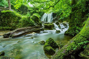 乔溪霍景辰知乎小说全文免费阅读_（乔溪霍景辰）最新章节