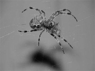 言情小说宋舒云时聿飞林珊珊阅读无弹窗—宋舒云时聿飞林珊珊小说故事推荐