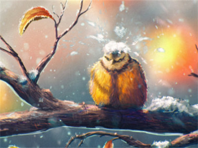沈星禾陆京是什么小说，沈星禾陆京完整章节阅读
