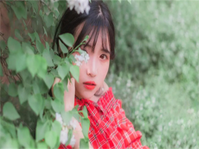 红娘独家首发免费小说 囚狐回音全文在线阅读