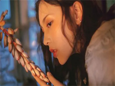 何凤秦玉瑶免费完本小说-百分爆评热文重生后，疯批美人每天都在撩人攻心