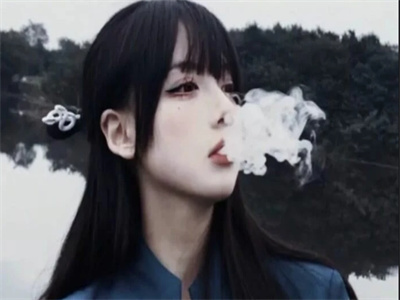 全章节完整版《王朝帝婿》全文阅读TXT陈凡秦月柔