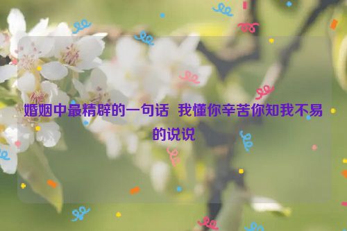 婚姻中最精辟的一句话  我懂你辛苦你知我不易的说说