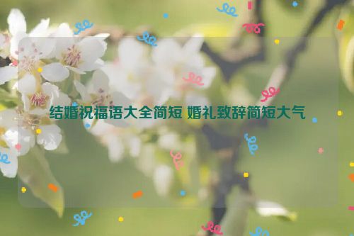 结婚祝福语大全简短 婚礼致辞简短大气