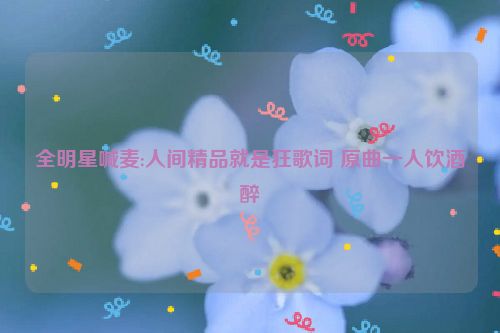 全明星喊麦:人间精品就是狂歌词 原曲一人饮酒醉