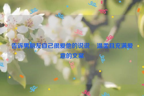 告诉男朋友自己很爱他的说说    温柔且充满爱意的文案