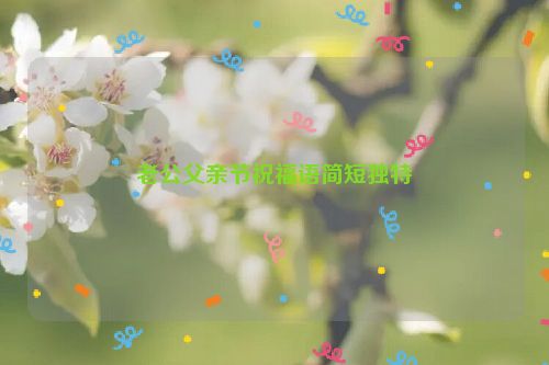 老公父亲节祝福语简短独特