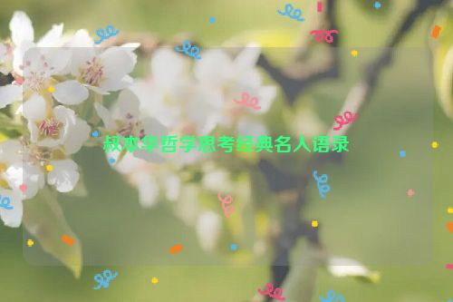 叔本华哲学思考经典名人语录