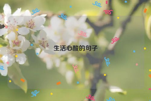 生活心酸的句子