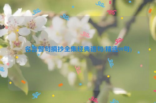 名言警句摘抄全集经典语句(精选99句)