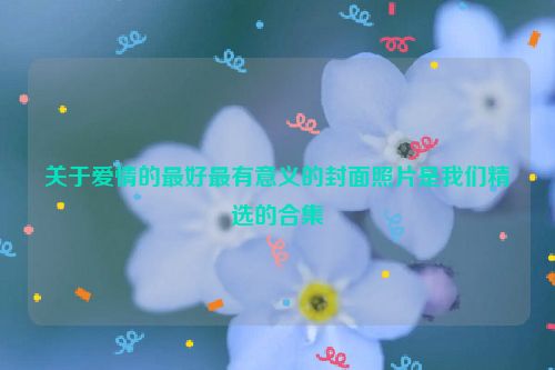 关于爱情的最好最有意义的封面照片是我们精选的合集