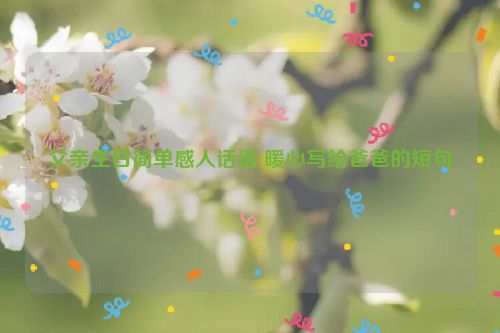 父亲生日简单感人话语 暖心写给爸爸的短句