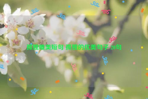 孤独唯美短句 孤独的优美句子 20句