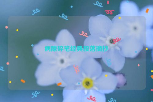 病隙碎笔经典段落摘抄