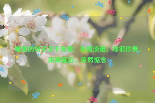唯美的句子关于友情：友情淡雅，却很珍贵，距离遥远，依然惦念