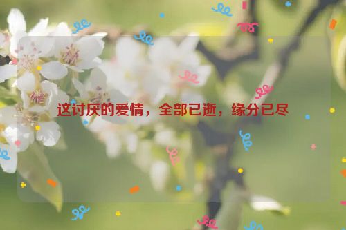 这讨厌的爱情，全部已逝，缘分已尽