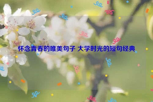 怀念青春的唯美句子 大学时光的短句经典