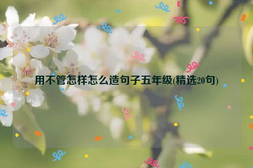 用不管怎样怎么造句子五年级(精选20句)