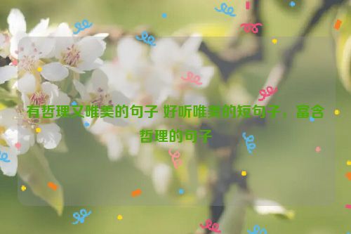 有哲理又唯美的句子 好听唯美的短句子，富含哲理的句子