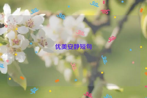 优美安静短句