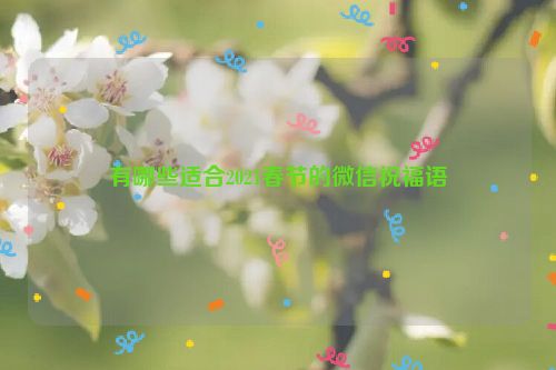 有哪些适合2021春节的微信祝福语