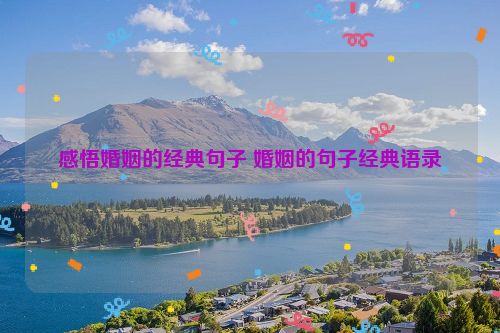 感悟婚姻的经典句子 婚姻的句子经典语录