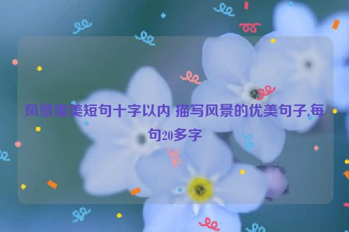 风景唯美短句十字以内 描写风景的优美句子,每句20多字