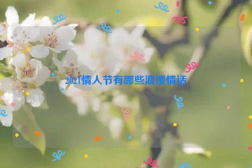 2021情人节有哪些浪漫情话