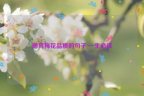 描写梅花品质的句子 一生必读
