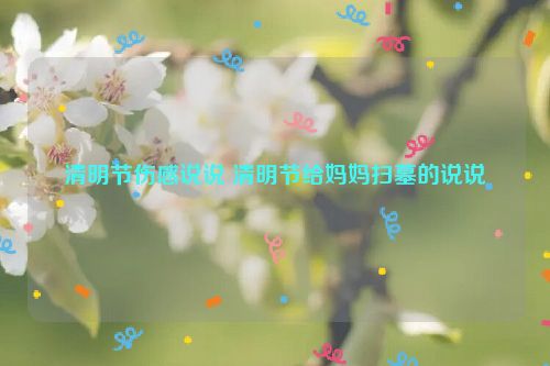 清明节伤感说说 清明节给妈妈扫墓的说说