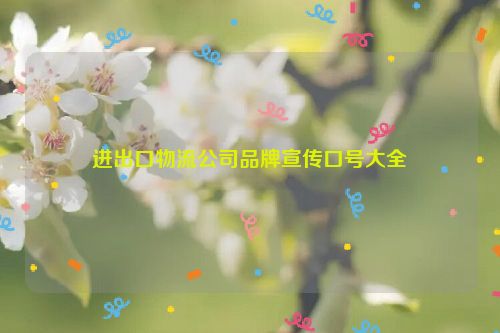 进出口物流公司品牌宣传口号大全