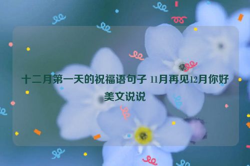 十二月第一天的祝福语句子 11月再见12月你好美文说说
