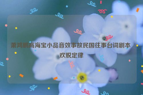 萧鸿鹏高海宝小品音效事故民国往事台词剧本 欢脱定律