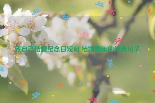 致自己结婚纪念日短句 结婚周年的经典句子