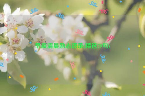 早晨清晨励志语录(精选79句)