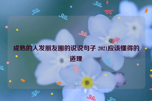 成熟的人发朋友圈的说说句子 2021应该懂得的道理