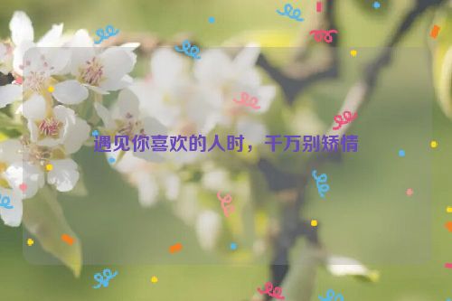 遇见你喜欢的人时，千万别矫情