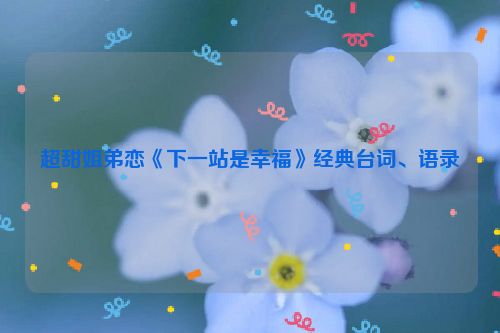 超甜姐弟恋《下一站是幸福》经典台词、语录