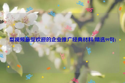 梨视频最受欢迎的企业推广经典材料(精选99句)