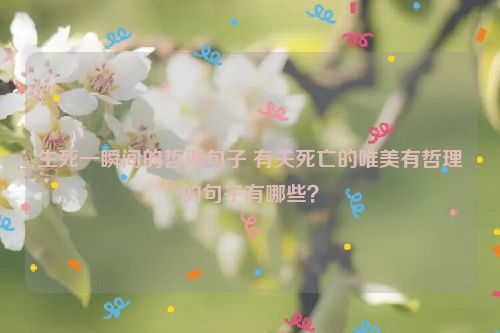生死一瞬间的哲理句子 有关死亡的唯美有哲理的句子有哪些？