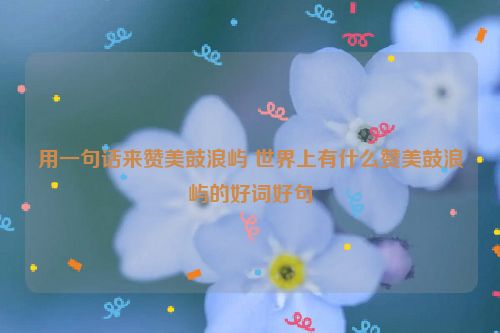 用一句话来赞美鼓浪屿 世界上有什么赞美鼓浪屿的好词好句