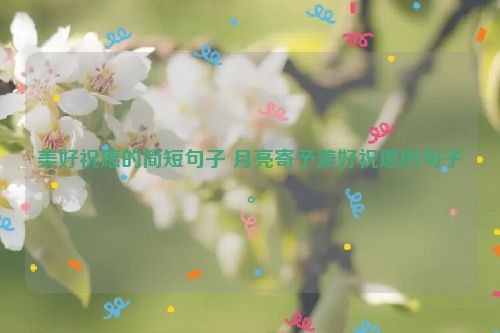 美好祝愿的简短句子 月亮寄予美好祝愿的句子。