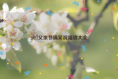 2021父亲节搞笑祝福语大全