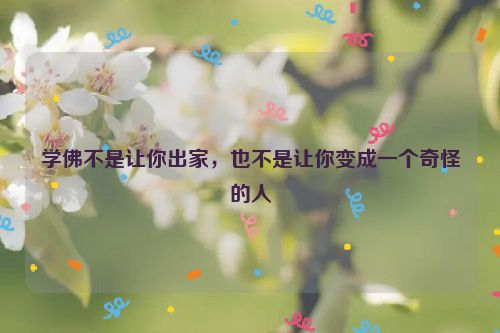 学佛不是让你出家，也不是让你变成一个奇怪的人