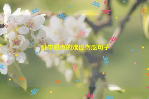  戳中泪点的难过伤感句子