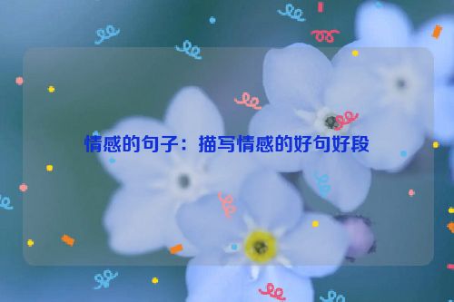情感的句子：描写情感的好句好段