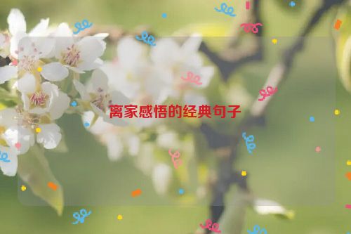 离家感悟的经典句子
