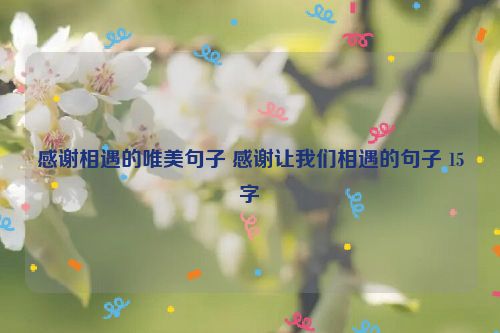 感谢相遇的唯美句子 感谢让我们相遇的句子 15字