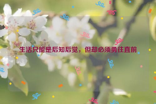 生活只能是后知后觉，但却必须勇往直前